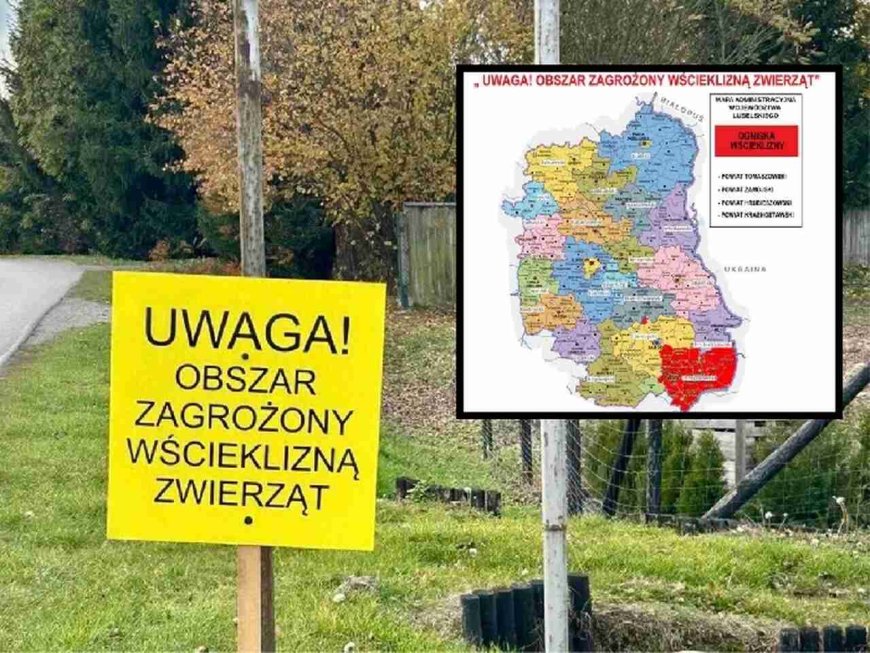 Wścieklizna od wschodu!